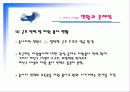 미신고시설의 현황과 문제점 및 개선방안 PPT 프리젠테이션 16페이지