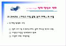 미신고시설의 현황과 문제점 및 개선방안 PPT 프리젠테이션 20페이지