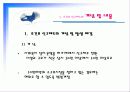 미신고시설의 현황과 문제점 및 개선방안 PPT 프리젠테이션 23페이지