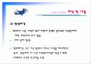 미신고시설의 현황과 문제점 및 개선방안 PPT 프리젠테이션 24페이지