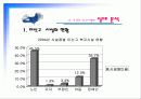 미신고시설의 현황과 문제점 및 개선방안 PPT 프리젠테이션 27페이지