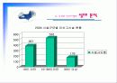 미신고시설의 현황과 문제점 및 개선방안 PPT 프리젠테이션 29페이지