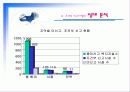 미신고시설의 현황과 문제점 및 개선방안 PPT 프리젠테이션 32페이지