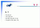 미신고시설의 현황과 문제점 및 개선방안 PPT 프리젠테이션 42페이지