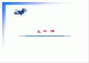 미신고시설의 현황과 문제점 및 개선방안 PPT 프리젠테이션 43페이지