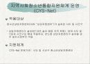 지역사회청소년통합지원체계 운영(CYS-Net) 3페이지