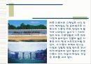 건축의 빛과 물 12페이지