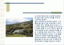 건축의 빛과 물 19페이지