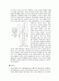 경부신근군 강화(목근육 강화) 4페이지