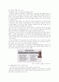 글로벌 달러화의 약세 환율변동 정책 대응 16페이지