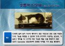 휴맥스의 성공 전략 10페이지