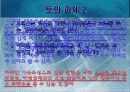 휴맥스의 성공 전략 29페이지