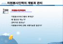사회복지행정 인적자원관리 파포 PPT 프리젠테이션 13페이지