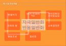 행동주의이론 주요개념, 성격발달관점, 실천 및 사례관리 이쁜 파포 PPT 프리젠테이션 27페이지