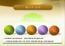 녹색 성장 원리 및 응용 향후 2페이지
