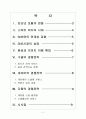 [스마트 미디어] 인터넷 포털 업체들의 경쟁전략 - 구글, 네이버, 다음 보고서 2페이지