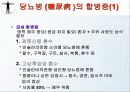 호흡기질환 25페이지