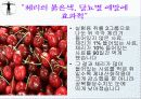 호흡기질환 42페이지