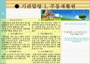 장애아동과 장애가족 생애주기별 관심사와 복지서비스, 외국의 장애아동복지 PPT  17페이지