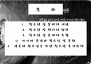 청소년 성문제, 사이버 인터넷과 청소년 성문화, 복지대안 파워포인트 PPT 프리젠테이션 2페이지