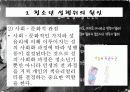 청소년 성문제, 사이버 인터넷과 청소년 성문화, 복지대안 파워포인트 PPT 프리젠테이션 7페이지