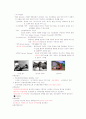 영화예술의 이해족보 29페이지