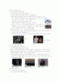 영화예술의 이해족보 45페이지