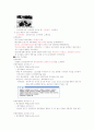 영화예술의 이해족보 53페이지