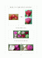 방과후프로그램 지도자료,수과학학습자료,수학활동계획안,정다면체를활용한학습 6페이지