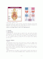 갑상선절제술, thyroidectomy 6페이지