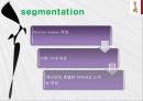 미스터피자의 마케팅 성공사례 12페이지