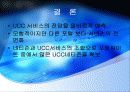 마케팅사례-UCC와_골드뱅크 10페이지
