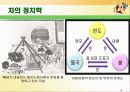 중국을 대표하는 차의 역사 19페이지