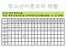 청소년 미혼모 복지정책과 국내외 미혼모 보호사업 파워포인트 PPT 14페이지