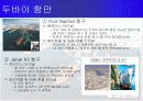 두바이항만에 관한 PPT 자료입니다 22페이지