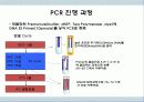 PCR 중합효소 연쇄반응 5페이지