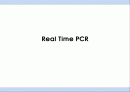 Real time PCR 1페이지