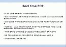 Real time PCR 5페이지