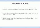 Real time PCR 6페이지