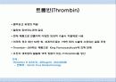 도축부산물이용 13페이지