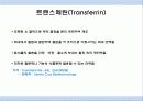 도축부산물이용 17페이지