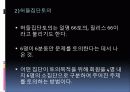 지역사회교육의 과정 ppt 20페이지