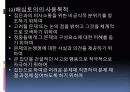 지역사회교육의 과정 ppt 33페이지