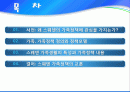 (외국의 가족복지) 스웨덴의 가족복지 가족정책연구 파워포인트 PPT 프리젠테이션 2페이지