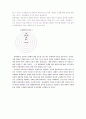관광상품 2페이지
