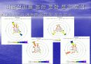 바람장미와 기온변화  14페이지