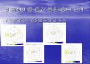 바람장미와 기온변화  20페이지