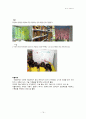 레지오 에밀리아  19페이지