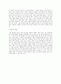 청소년육성 행정조직의 장점과 문제점 2페이지