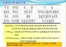스포츠심리학 성격 형성 17페이지